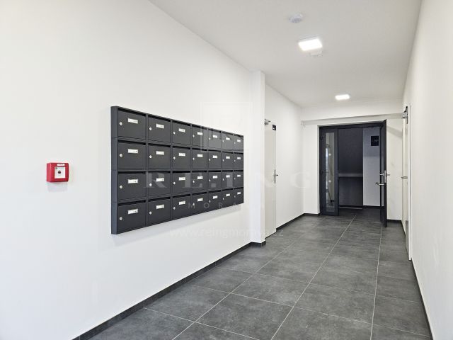 Obrázek k zakázce č.: 725291