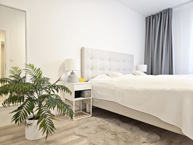 Obrázek k zakázce č.: 623303