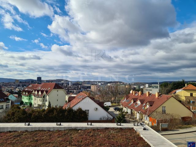 Obrázek k zakázce č.: 629893