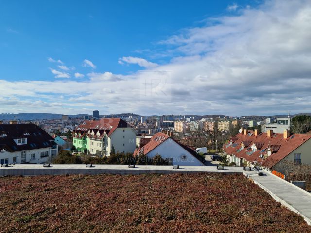 Obrázek k zakázce č.: 629893